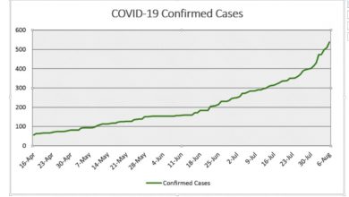Photo of Ministry reports 29 more COVID cases
