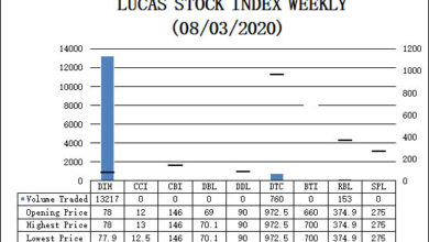 Photo of LUCAS STOCK INDEX