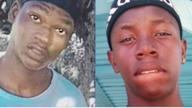 Photo of Henry boys were murdered at one location and moved to another – police