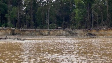 Photo of Brazilian dredge owner fined $12m for ripping up part of Cuyuni River bank