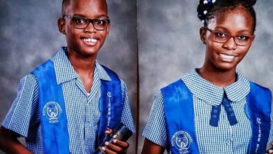 Photo of High-achieving Jamaican twins awarded five-year scholarships