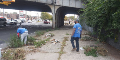 Photo of ‘Not in My Backyard’ cleans up Farragut Road