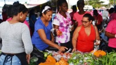 Photo of COVID-19 brings food challenges for some local farmers, fisherfolk – CARICOM, FAO study