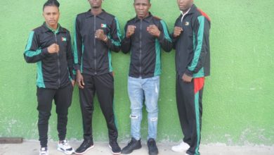Photo of Boxing gets green light to resume