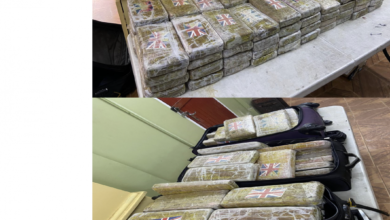 Photo of Large amount of ganja seized at Dartmouth house