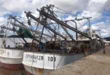 Photo of Trawler operators up pressure  over secret issuing of licences – -say they face decimation, ministry remains silent