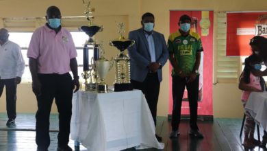 Photo of President Irfaan Ali softball T20 tournament launched