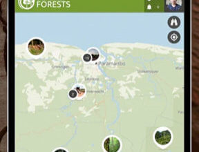 Photo of Nature conservationist launches deforestation app