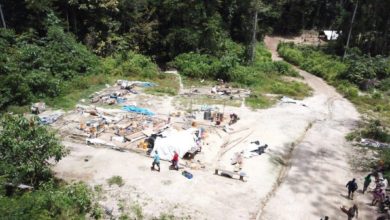 Photo of Iwokrama says continues to be harried by illegal mining