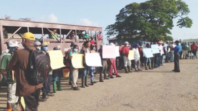 Photo of Albion, Blairmont sugar workers continue protest over wage talks
