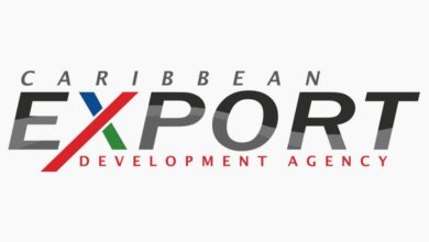 Photo of Caribbean Export launches training to boost international competitiveness of services