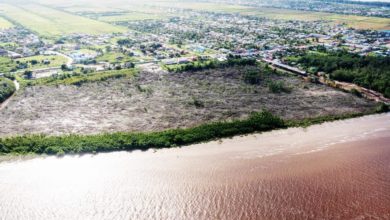 Photo of Arjoon-Martins calls for sanctions against company which ripped away mangroves