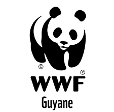 Photo of WWF calls for full impact survey of oil and gas plans – -cites destruction of mangroves