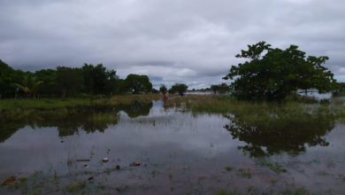 Photo of Floodwater cuts off Rupununi villages from Lethem