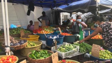 Photo of Vegetable prices skyrocket at markets