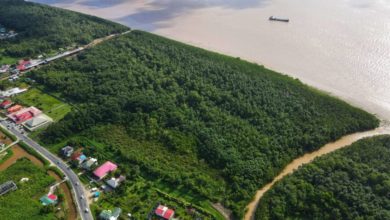 Photo of Tristar set to begin revetment at mangroves site – —says shore base project pegged at US$100m-150m