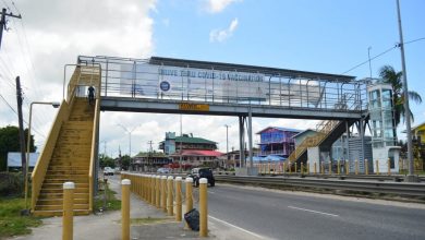 Photo of Elevators at East Bank overhead crossings remain inoperable – -‘a waste of money’ says Edghill