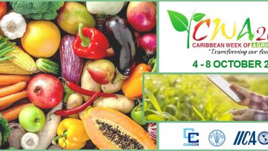 Photo of Caribbean Week of Agriculture: The undertakings