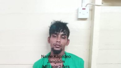 Photo of Double murder accused escapes from Lusignan Prison