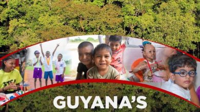 Photo of Guyana’s forests qualify for  lucrative carbon credits – -President at launch of LCDS 2030