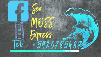 Photo of Sea Moss Express brings its products to the table
