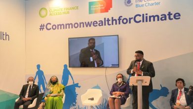 Photo of National climate plans must be comprehensive and inclusive – -Ali tells vulnerable nations forum