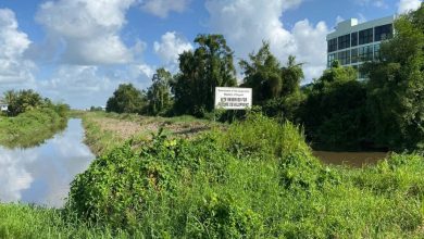 Photo of Region Four asked to give no-objection to new bridge over Demerara – -’handful’ of properties to be acquired on east bank of river