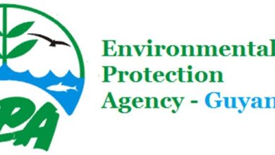 Photo of EPA says bolstering processes, adherence to Act