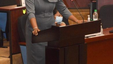 Photo of Walton-Desir says budget prioritises big business over poor and working class – -Hamilton touts gains under labour ministry