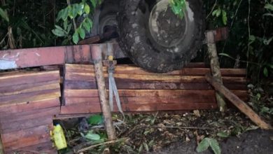 Photo of Porter dies after tractor topples on Ampa Bay Trail