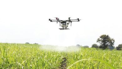 Photo of How technology can help address challenges in agriculture