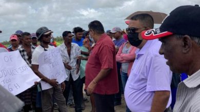 Photo of Black Bush farmers protest for higher  paddy prices – -millers say reduction is necessary