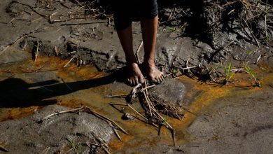 Photo of Environmental risks loom amidst surfeit of South American oil hunts
