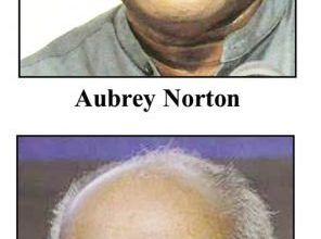 Photo of Parliamentary Committees have no mechanism for action – -Norton to Ramkarran on engagement agenda with President