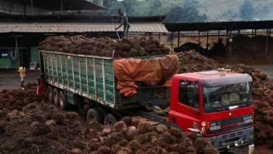Photo of Indonesia stuns markets as it widens ban to include CPO, refined palm oil