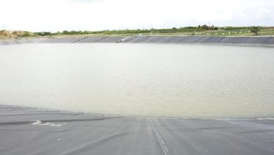 Photo of Ali, Mottley commission catchment pond