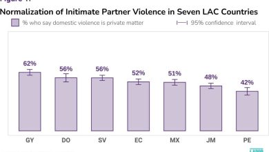 Photo of High percentage of Guyanese see intimate partner violence as private issue -LAPOP survey