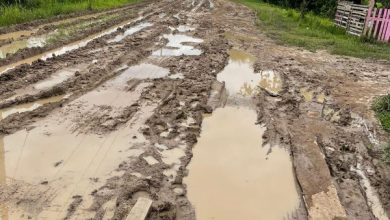 Photo of Proposals for Barnwell road repairs ignored – NDC Chairman