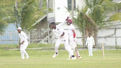 Photo of Bowlers shine on Harpy Eagles warm-up first day