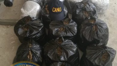 Photo of CANU finds ganja boat at Canje pump station – -three in custody