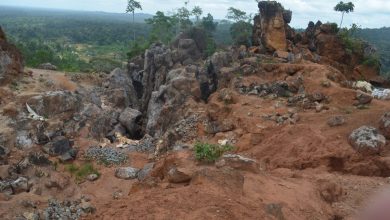 Photo of Updated impact survey likely before Marudi mining restarts – EPA