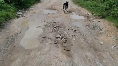 Photo of  Buxton laments woeful roads, streets – -in meeting with ministers