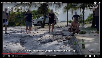 Photo of VICE News airs more claims about laundering, bribes by Chinese businessmen here