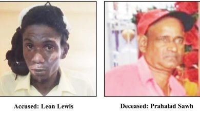 Photo of Health Ministry clerk charged with causing death of Lusignan pedestrian