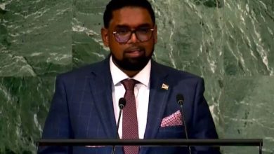 Photo of Ali tells UN that fossil fuel remains ‘necessary’ to facilitate energy transition – -says that oil producing countries cannot be penalized