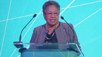 Photo of Building economic bridges between Africa and the Caribbean not an easy task – Caricom SG