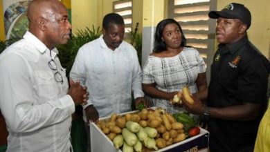 Photo of Jamaica intensifying potato, onion plans