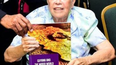 Photo of Sister of Mercy, historian Mary Noel Menezes passes away at 92 – -hailed for dedication, humanitarian services