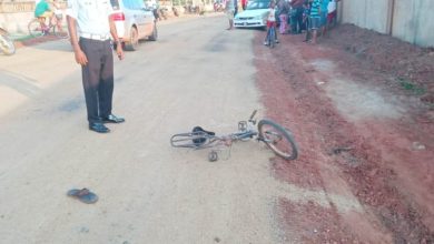 Photo of Lethem girl, 10, dies after being hit by car – -driver was under the influence, speeding
