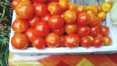 Photo of Tomato prices take a dive at Bourda, Stabroek markets